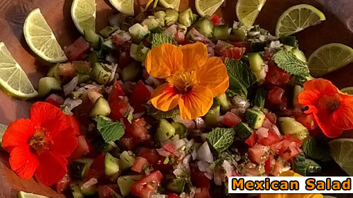 Sitges Mexican Salad